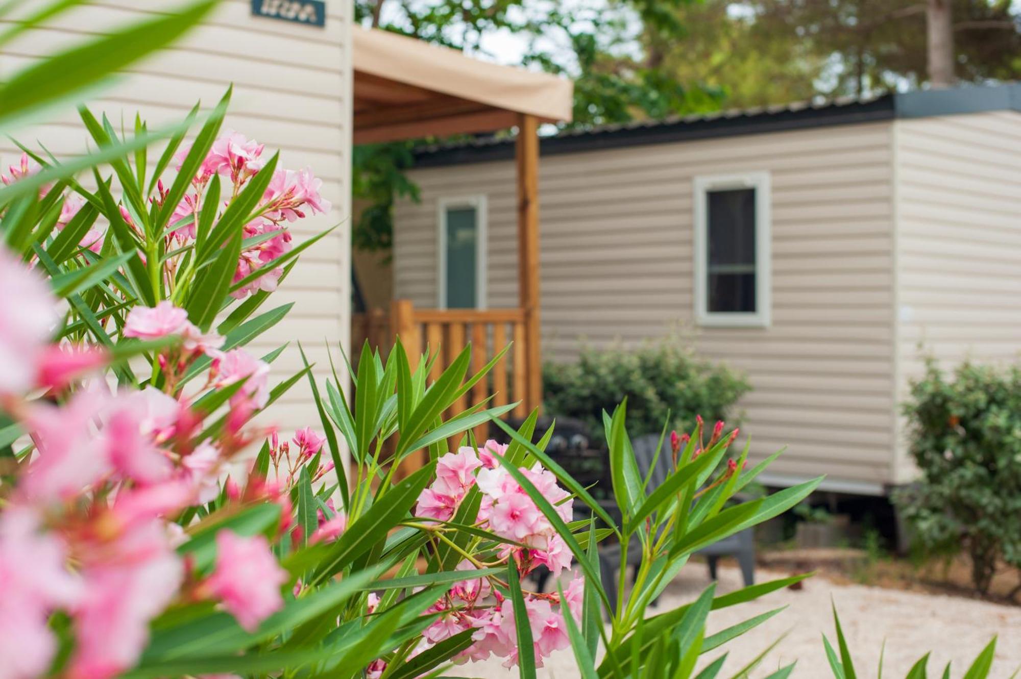 Camping Les Jardins D Agathe Le Grau d'Agde Exterior foto