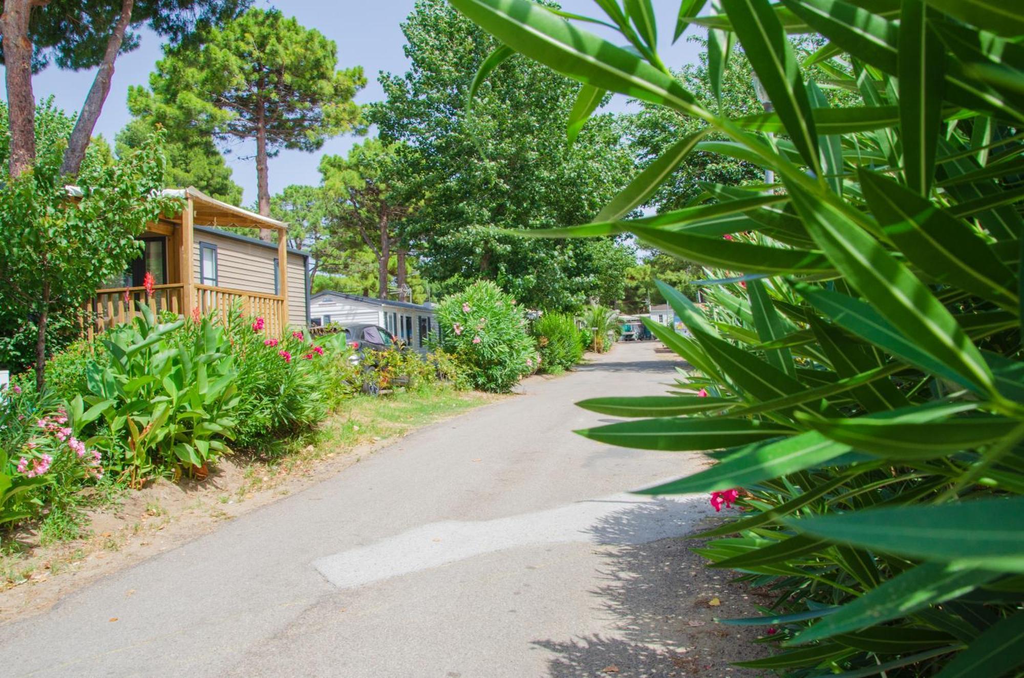 Camping Les Jardins D Agathe Le Grau d'Agde Exterior foto