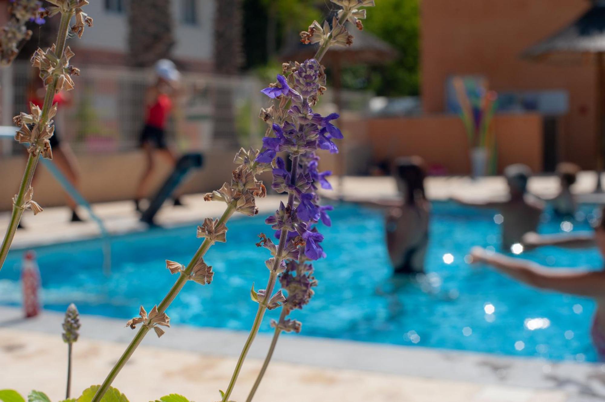 Camping Les Jardins D Agathe Le Grau d'Agde Exterior foto