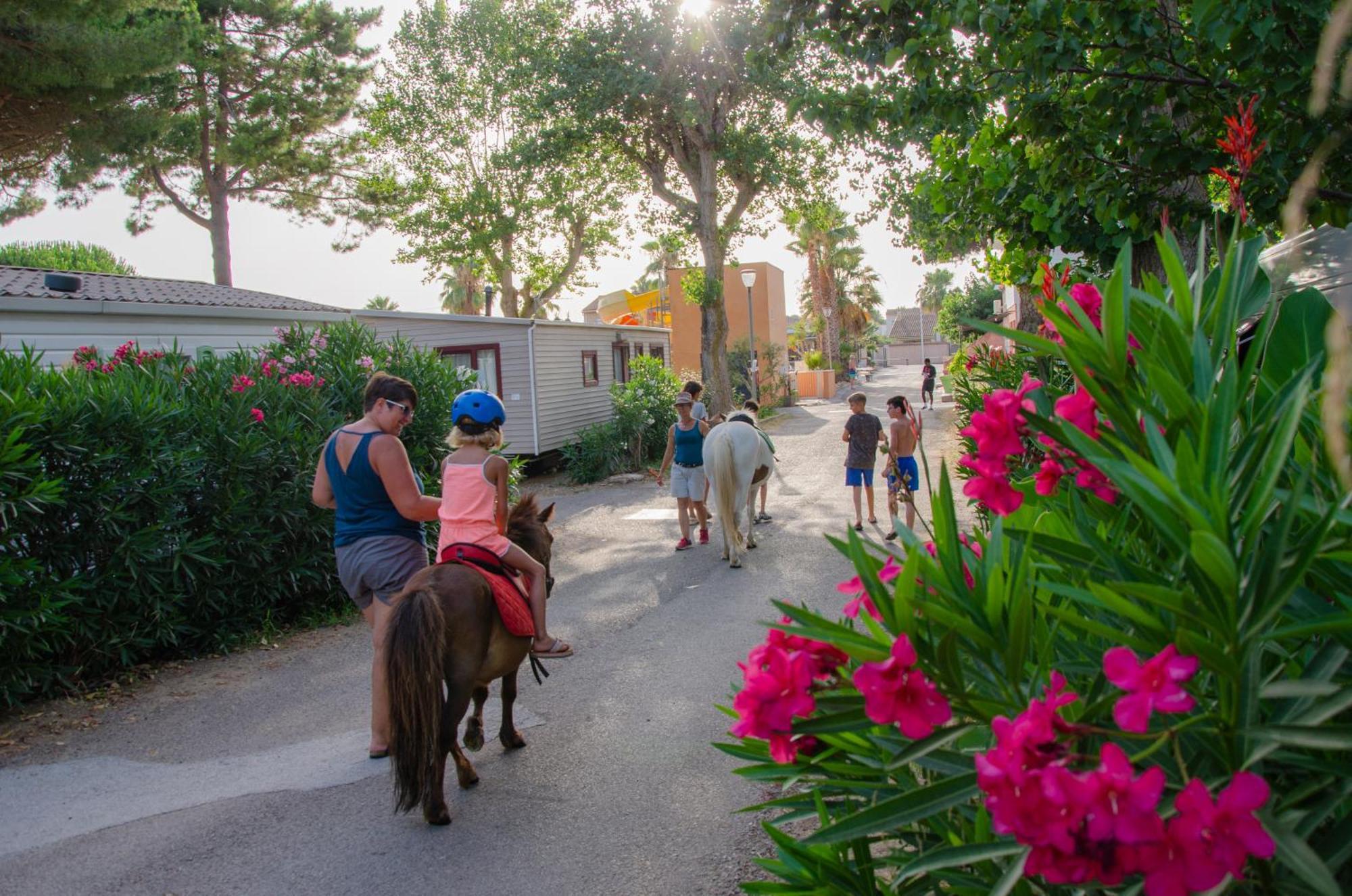Camping Les Jardins D Agathe Le Grau d'Agde Exterior foto